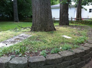 HIstoric Chunn's Burying Ground Oak Glenn Cemetery Fox River Grove